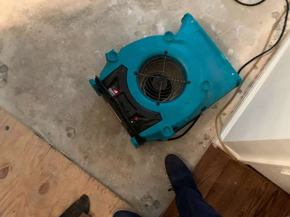 Air mover drying subfloor during Leak Detection & Repair in The Meadows